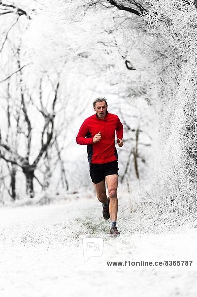Man running through woods in winter  Wenlock Edge  Shropshire  England  UK