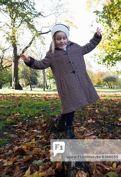 Young girl balancing on log in autumn  London  England  UK