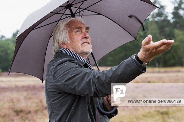 Älterer Mann unter dem Schirm  der nach Regen sucht.