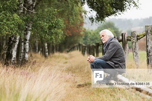 Älterer Mann auf einem Baumstamm sitzend