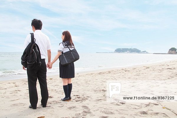 Young couple holding hands on beach  rear view