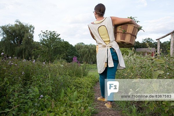 Frau trägt einen Korb mit Pflanzen auf einem Kräuterbauernhof der Familie.
