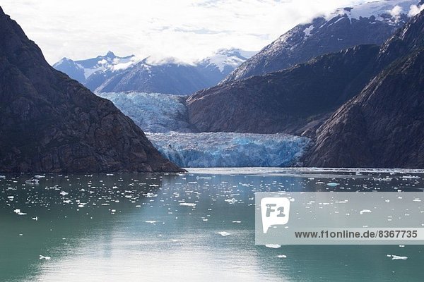 Gletscher  Alaska  USA