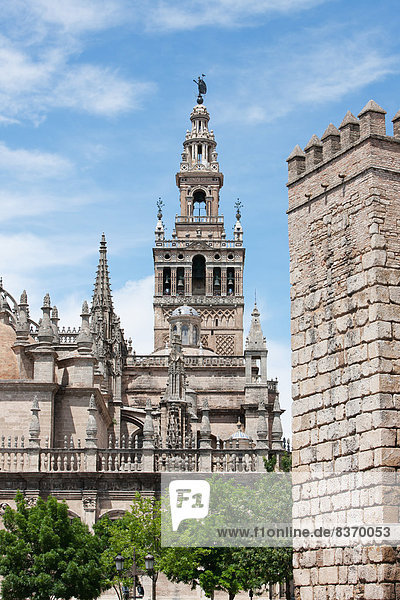 Kathedrale  Andalusien  Glocke  Sevilla  Spanien