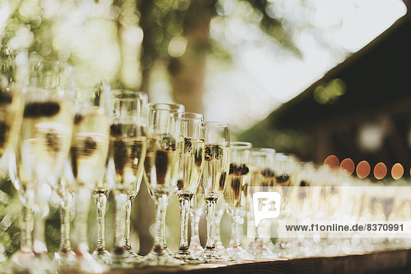 Glasses Of Champagne In A Row Pemberton  British Columbia  Canada