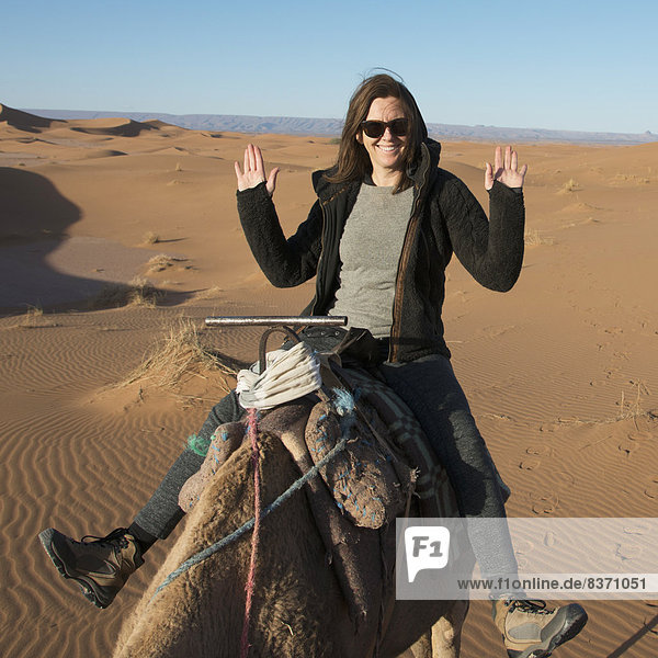 Frau  fahren  bizarr  Kamel  Marokko