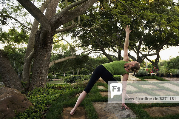 Vereinigte Staaten von Amerika  USA  Frau  Baum  strecken  Yoga  Kachel  Kalifornien  Pose