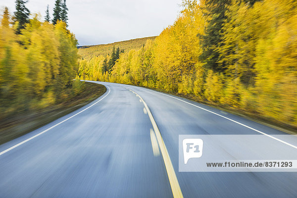 Road Detail Traveling The Steese Highway North Of Fairbanks In Autumn Fairbanks  Alaska  United States Of America