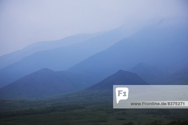 Vereinigte Staaten von Amerika  USA  Berg  verstecken  Rauch  Wald  Nebel  Produktion  blau  Feuer  Stück  Denali Nationalpark  Alaska