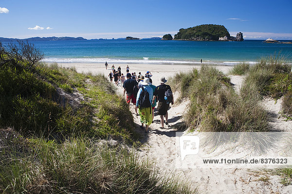 A Group Of People Head To The Beach On The Coastal New Zealand Beaches Of The Corremandal Peninsula  Hahei  New Zealand