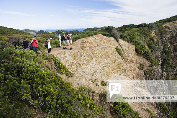 A Group Of Tourists Take Photographs From A Ridge Overlooking An Island In The Bay Of Islands  Urupukapuka Island  New Zealand