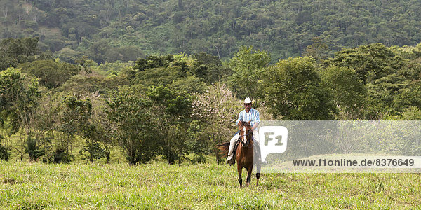 A Man Rides Horseback Through A Tree Filled Landscape  Zacapa  Guatemala