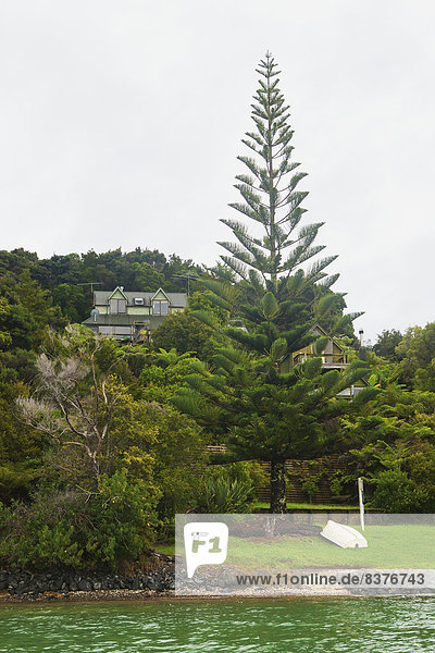 Insel Einsamkeit Ferienhaus Neuseeland Ferienhaus