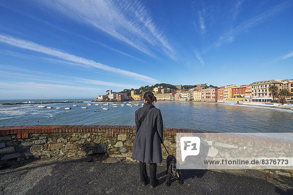 Hafen  Frau  Ecke  Ecken  über  Küste  Hund  hinaussehen  Italien