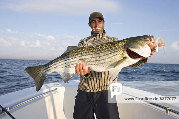 Man In A Boat Proudly Holding A Large Fish  Massachusetts  Usa
