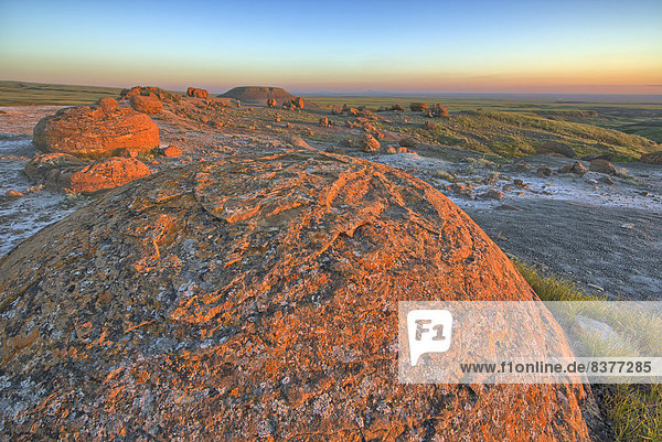 Felsbrocken  Sonnenuntergang  über  rot  Lavagestein  Alberta  Kanada