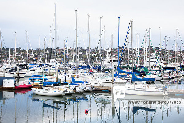 Boats In The Harbour And Houses On A Hill San Diego  California  United States Of America