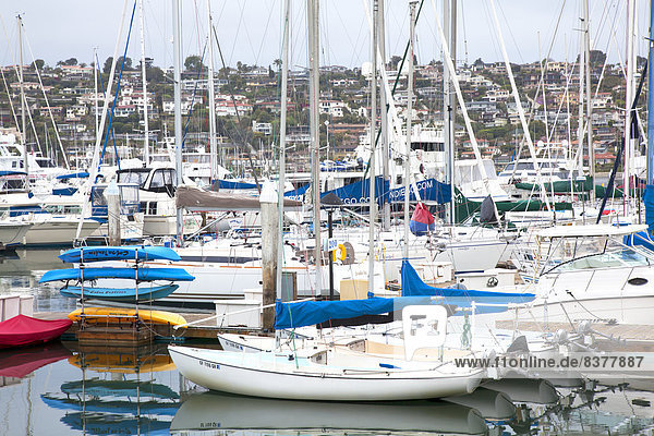 Boats In The Harbour And Houses On A Hill San Diego  California  United States Of America