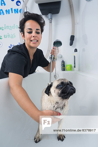 Frau geben Hund