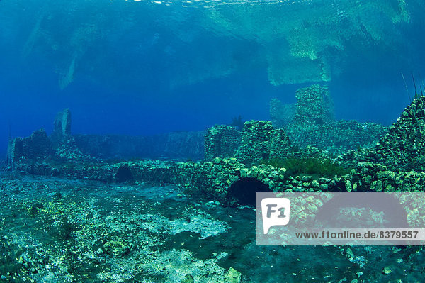 Unterwasserwelt im See Lago Capo d' Acqua  Capestrano  L?Aquila  Italien