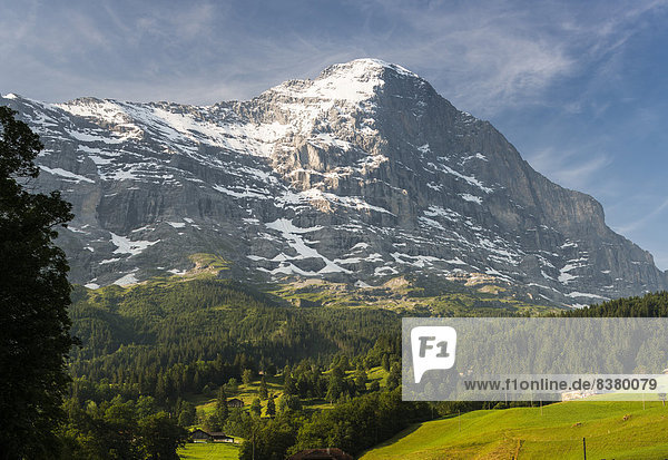 Morgen Alpen Aletschgletscher Eiger UNESCO-Welterbe Norden Grindelwald schweizerisch Schweiz Kanton Bern