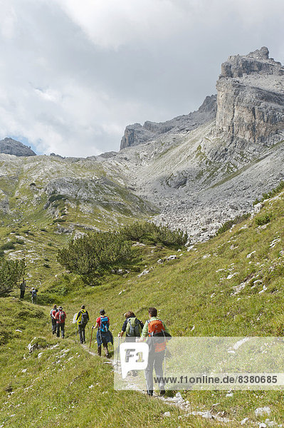 Hikers on a trail  Brenta crossing at the Passo della Gaiarda  Mt Cima Gaiarda  Brenta Mountains  near Molveno  South Tyrol province  Trentino-Alto Adige  Italy