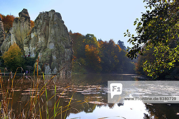 Felsformation Externsteine im Herbst  Horn-Bad Meinberg  Nordrhein-Westfalen  Deutschland
