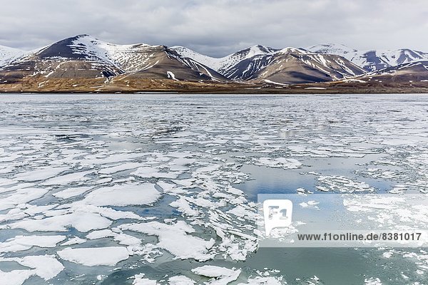 Wasserrand  Europa  Geschwindigkeit  Eis  Norwegen  Jahreszeit  Spitzbergen  Erinnerung  Skandinavien  Svalbard