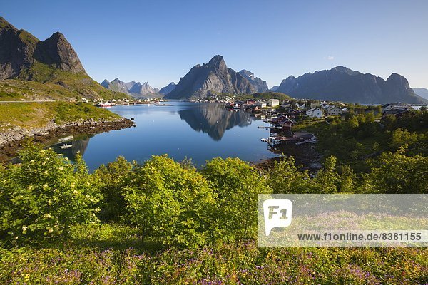 Europa  Dorf  Norwegen  angeln  Sehenswürdigkeit  Lofoten  Moskenesoy  nordland  Reine  Skandinavien