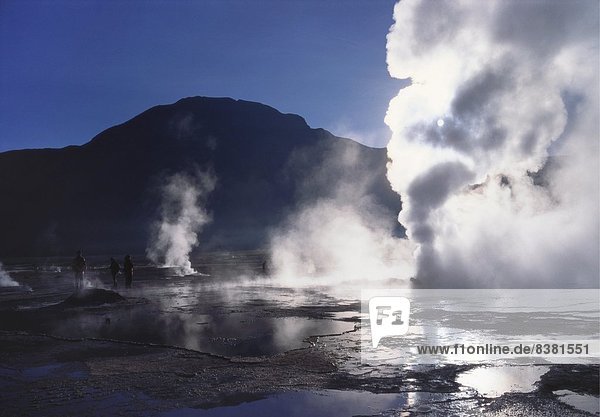 Steam Rising From Geysers and Fumaroles  El Tatio  Atacama  Chile