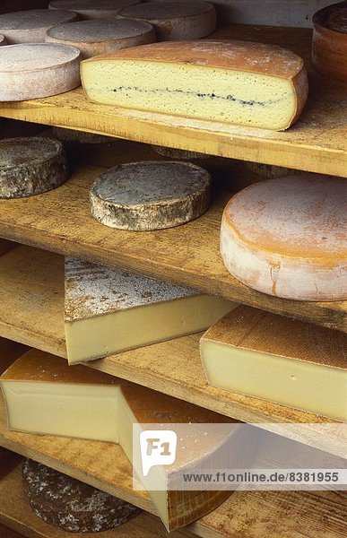 Vielzahl von Käse in einem Käse-Shop