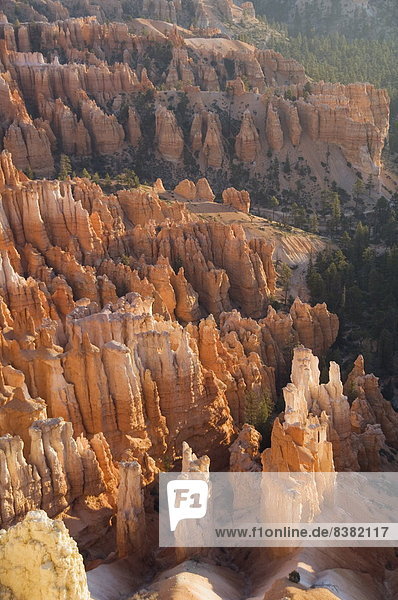 Bryce Canyon Nationalpark  Utah  Vereinigte Staaten von Amerika  Nordamerika