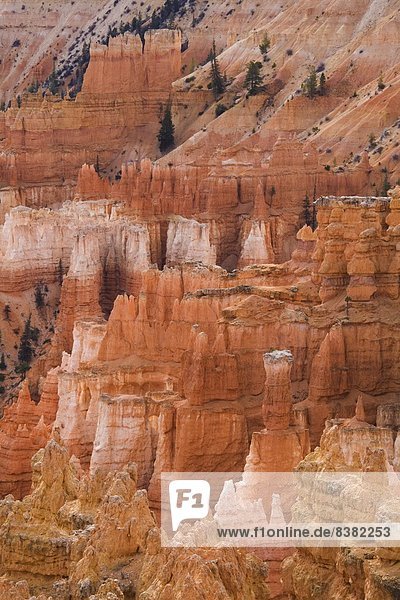 Thors Hammer  dem Bryce Canyon National Park  Utah  Vereinigte Staaten von Amerika  Nordamerika