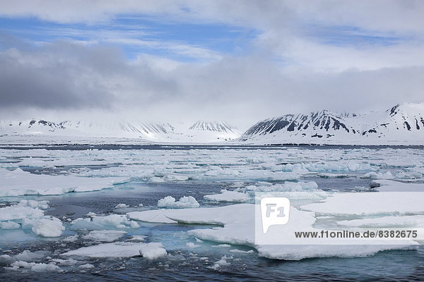 Eisscholle  Europa  Norwegen  Spitzbergen  Skandinavien  Svalbard