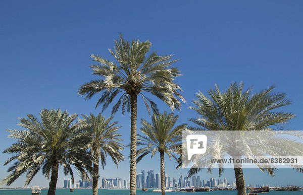 entfernt  Skyline  Skylines  Zukunft  Hochhaus  Naher Osten  Distanz  Doha