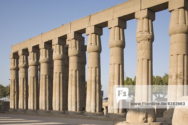 Nordafrika  UNESCO-Welterbe  Afrika  Ägypten  Luxor  Luxor Tempel