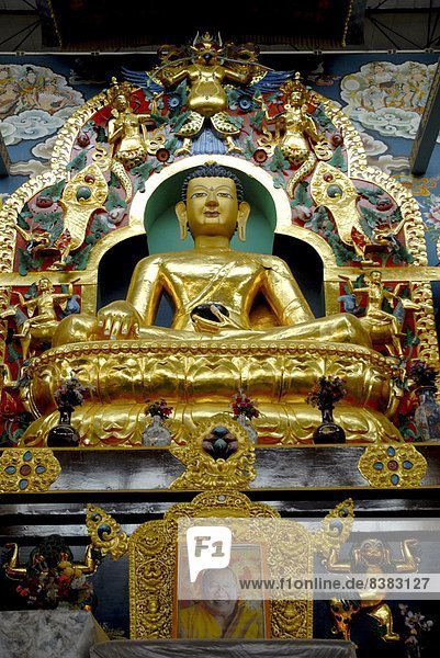 Buddhist Golden Temple in Bylakuppe  Coorg  Karnataka  India  Asia
