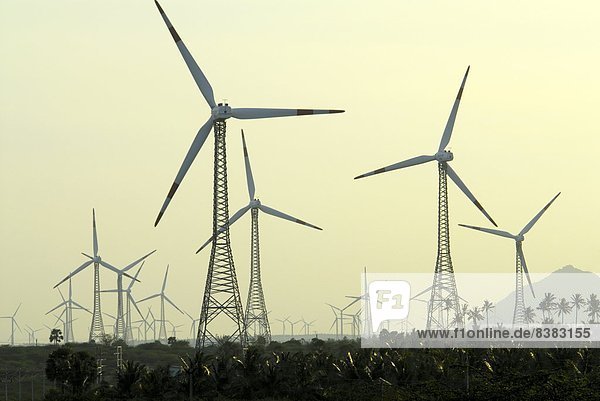 Windmills at Aralavaimozhi  Nagercoil  Tamil Nadu  India  Asia