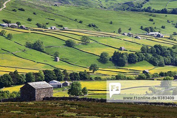 hoch oben nahe Europa Sommer Großbritannien Fernverkehrsstraße Yorkshire and the Humber England Swaledale
