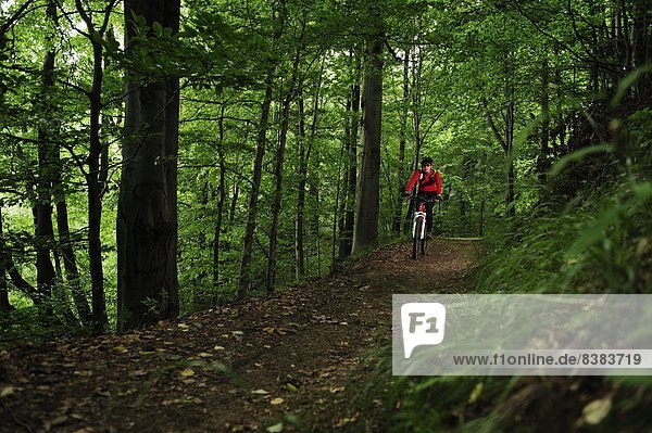 Young adult woman riding a mountain bike in a forest road  Poland.