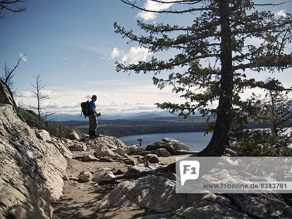 A hiker takes in the view from Inspiration Point  Grand Teton National Park.