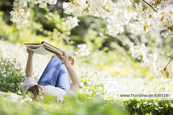 Frau liest Buch im Gras unter Baum mit weißen Blüten