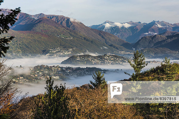 Morgen über Nebel Herbst Botanik Lugano Schweiz Kanton Tessin