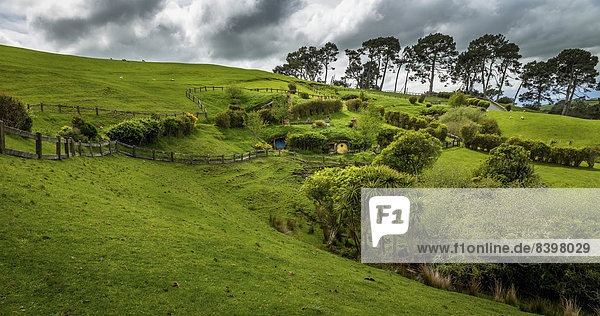 Landschaft bei Hobbingen im Auenland  Schauplatz der Herr der Ringe und Der Hobbit Film-Trilogien  bei Matamata  Nordinsel  Neuseeland