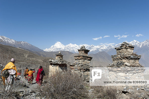 Hindu-Pilger  alte Chörten  tibetischer Hinduismus und Buddhismus  hinten der Berg Dhaulagiri  8167 m  Muktinath Tempelbezirk  Unteres Mustang  Nepal
