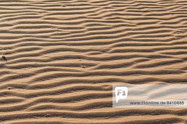 Wellenmuster im Sand  Sossusvlei  Namib-Wüste  Namibia