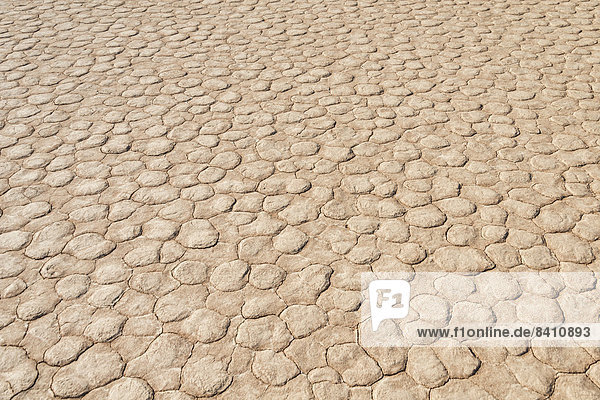 Ausgetrockneter Sandboden  Dead Pan  Sossusvlei  Namib-Wüste  Namibia