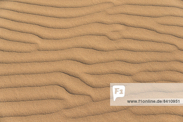Wellenmuster im Sand  Sossusvlei  Namib-Naukluft-Park  Namibia