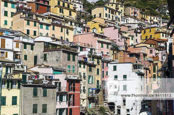 Dorf mit bunten Häusern  Riomaggiore  Cinque Terre  UNESCO-Weltkulturerbe  Provinz La Spezia  Ligurien  Italien