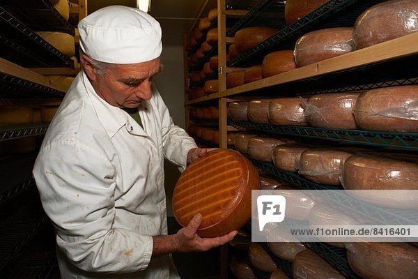 Älterer Mann bei der Käsekontrolle in der Bauernfabrik